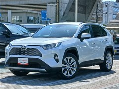 RAV4 G Zパッケージ