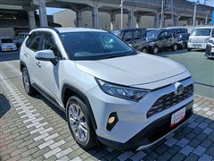 RAV4 G Zパッケージ