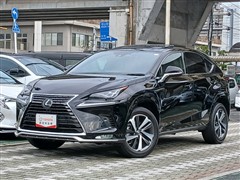 レクサス レクサスNX NX300 スパイス&シ