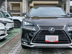 レクサスNX NX300 スパイス&シ