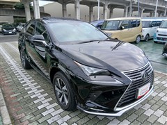 レクサスNX NX300 スパイス&シ