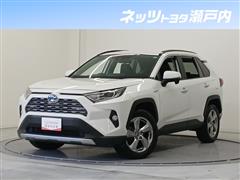 RAV4 HV G