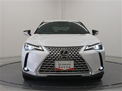 UX250h グレイスフル エクスプ