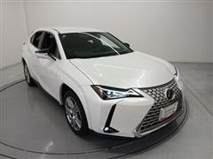 UX250h グレイスフル エクスプ