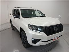 ランクルプラド TX-L マットブ