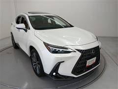 NX350h バージョンL