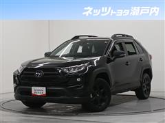 RAV4 アドベンチャーオフパケ2
