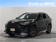 RAV4 G