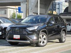 RAV4 G