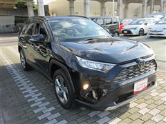 RAV4 G