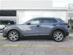 CX-30 20S PA ツーリング