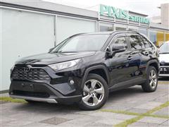 RAV4 G