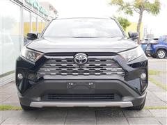 RAV4 G