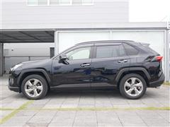 RAV4 G