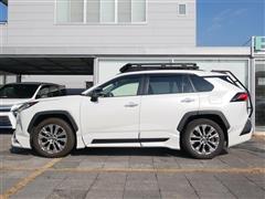 RAV4 G Zパッケージ