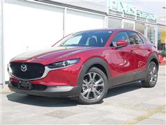 CX-30 20S 100thキネン