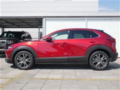 CX-30 20S 100thキネン
