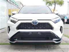 RAV4 PHV G
