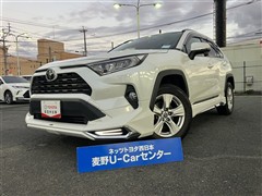 RAV4 X