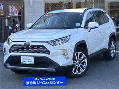 RAV4 G Zパッケージ