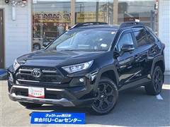 トヨタ RAV4 アドベンチャー オフロート