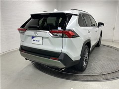 RAV4 G