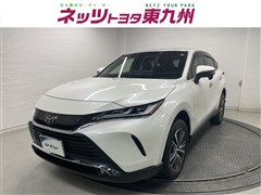 ハリアー G レザーパッケージ