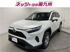 RAV4 X