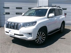 トヨタ ランドクルーザープラド TZ-G