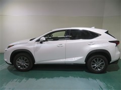 NX300 Iパッケージ