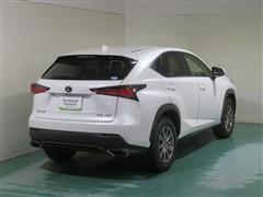 NX300 Iパッケージ