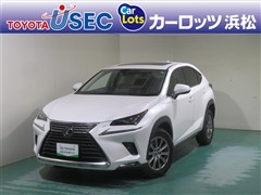 NX300 Iパッケージ