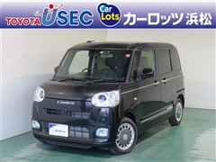 ムーヴキャンバス セオリーG