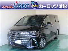 トヨタ アルファード Z ヒョウガイ