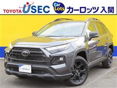 トヨタ RAV4 HV ヒョウガイ