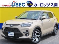 ライズZ ターボ4WD ヒョウガイ