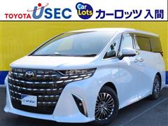 アルファードHV ExL ヒョウガイ