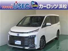 トヨタ ヴォクシー S-Z ヒョウガイ