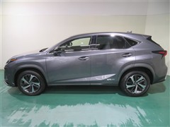 NX300h スパイス&シック