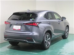 NX300h スパイス&シック