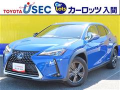 UX250h バージョンC