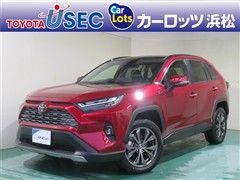RAV4 HV G 4WD ヒョウガイ