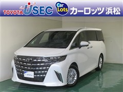 アルファードHEV Xヒョウガイ