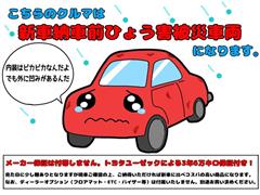 アルファードHEV X ヒョウガイ