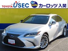 ES300h バージョンL