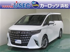 アルファード Z ヒョウガイ