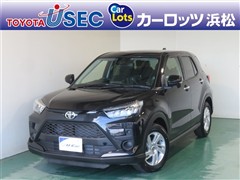 ライズ G 4WD ヒョウガイ