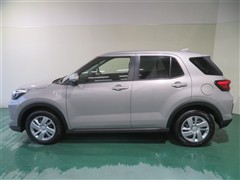 ライズ X 4WD ヒョウガイ