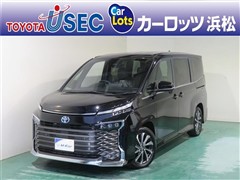 ヴォクシー HV S-Z ヒョウガイ