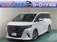 アルファード Z ヒョウガイ
